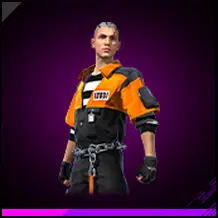 Striped Swag Bundle