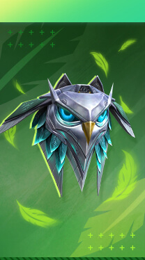 Backpack Skin